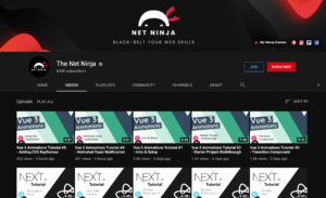 The Net Ninja